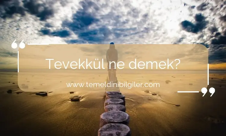 Tevekkül: İç Huzurun ve İnançlı Bir Yaşamın Anahtarı